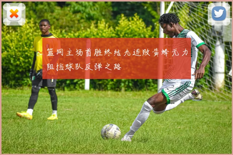 篮网主场首胜终结九连败黄蜂无力阻挡球队反弹之路