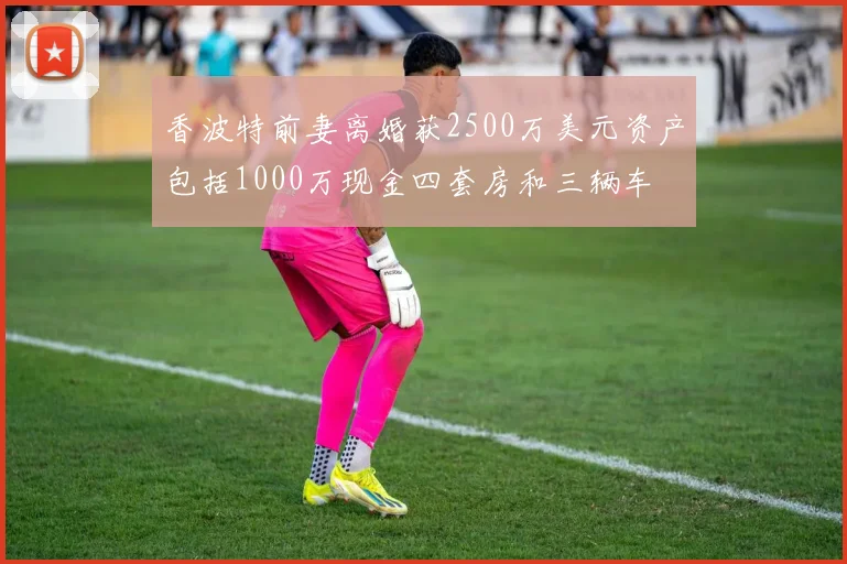 香波特前妻离婚获2500万美元资产包括1000万现金四套房和三辆车