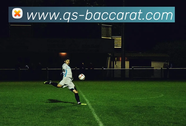 百家乐网站平台生态图