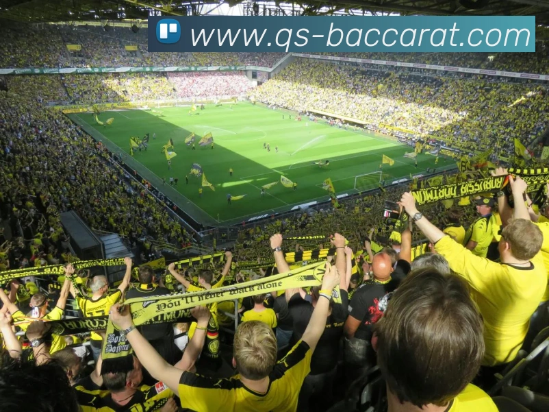 百家乐网站APP 封面图